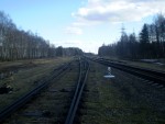 Разобранное примыкание пути, идущего от разъезда Пугачёво к Ковельскому ходу