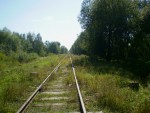 Бывший маневровый светофор М4, северная горловина разъезда Пугачёво
