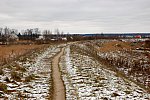 Заброшенная насыпь соединительного пути Елинского парка и линии на Лепель